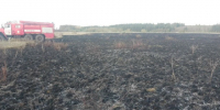 В Челно-Вершинском районе горела сухая трава на площади 300 квадратных метров - Центр по делам гражданской обороны, пожарной безопасности и чрезвычайным ситуациям