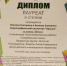 «Крылья» добились успеха - Газета Лужская правда