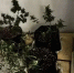 Астраханец хранил в сарае наркотики - Астрахань 24