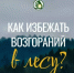 Как избежать лесных пожаров - Бирский район