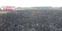 В Челно-Вершинском районе горела сухая трава на площади 300 квадратных метров - НИА Самара