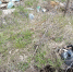 В заповедной зоне под Воронежем нашли свалку бытовых отходов - ГТРК Воронеж
