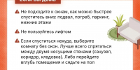 Алгоритм действий - Министерство общественной безопасности