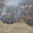 DJI_0029_1_1_1_1.jpg - GorodnaBire.Ru