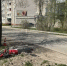 В Савине мопед врезался в дерево, а в Пестяковском районе машина опрокинулась в кювет - Сетевое издание Ивановские новости