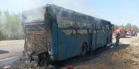 Под Тулой потушили пассажирский автобус - ИА Тульская пресса.Ru