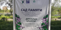 В Улан-Удэ высадят «Сад памяти» - ИА Байкал-Daily