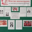 СИМВОЛ МИЛОСЕРДИЯ И НАДЕЖДЫ - Десногорская библиотека