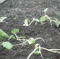 1-230f28811d6b3b60.jpeg - Ozersk74.Ru