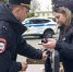 В ТИХОРЕЦКЕ ПОЛИЦЕЙСКИЕ РАССКАЗАЛИ ШКОЛЬНИКАМ О СЛУЖБЕ В ОРГАНАХ ВНУТРЕННИХ ДЕЛ - Администрация г.п. Тихорецк