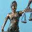 Суд обязал администрацию выплатить моральный вред после нападения собаки на ребёнка - Сибкрай.ru