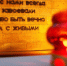На Кубани к 9 мая проведут более 10 тысяч памятных акций и концертов - Газета Кубань Сегодня