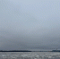 VK60IiZMX63reF3mX6wKXvxE4RIhJAU8-83mbEJ09voXSDowMbCe360RDP8wAe32xY3jm5rJO_vLZ_wQcVzO-tOV.jpg - Gorod3466.Ru