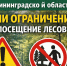 Введены ограничения на пребывание граждан в лесах - Озерский городской округ