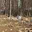 Большую свалку площадью 1700 кв. м выявили в Казани в рамках двухмесячника - Министерство экологии