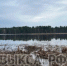 В Виле полицейский пресек незаконный вылов рыбы с использованием сети - Выкса.РФ
