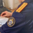 Житель дер. Большая Ивановка попал под уголовку за 3 тыс. рублей - ЛенОблИнформ