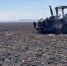 В Комаричском районе в поле загорелся трактор – пострадал водитель - Газета Брянские новости