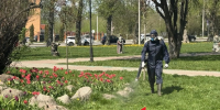 Парки и скверы Тулы продолжают обрабатывать от клещей - ТК Первый Тульский