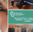 Спорт начинается в школе: школьники Кирсанова покоряют норма-тивы ГТО - Дополнительное образование детей
