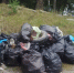 Парки и скверы площадью свыше 400 тысяч квадратных метров очистили от мусора в Челябинской области - Pchela.News