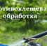 Уважаемые жители!  Администрация Свечинского муниципального округа информирует о проведении акарицидной (противоклещевой) обработки общественных территорий.. - Свечинский муниципальный округ