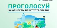 Голосуем за объекты благоустройства. - Администрация Красногорского района