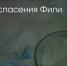 Поделитья во ВКонтакте - Братская Студия Телевидения