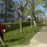 В Тамбове стартовал сезон покоса травы - OnlineTambov.Ru