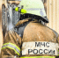 Пенсионера с ожогами госпитализировали с пожара в Вырице - 47 новостей