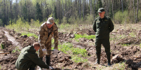 В лесном массиве под Алексином высадили 12 тысяч сеянцев ели - ТК Первый Тульский