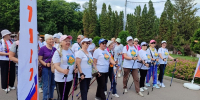 В Туле пройдет фестиваль северной ходьбы - Министерство спорта
