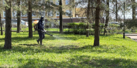 Илья Беспалов рассказал об акарицидной обработке общественных пространств в Туле - ИА Тульская пресса.Ru
