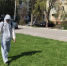В Подмосковье стартовала обработка дворов и общественных пространств от клещей - MosRegToday.Ru