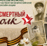 Мособлкомлес участвует во всероссийской онлайн-акции «Бессмертный полк» - Комитет лесного хозяйства
