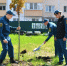 В городе Майкопе высадили молодые деревья - ИА Адыгея Сегодня