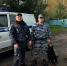 В Вологодской области кинологи с овчаркой нашли двух пропавших девочек - OnlineVologda.Ru