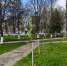 В Орле у кинотеатра «Родина» посадили 43 дерева - OrelGrad.Ru