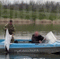 Выпустили 4000 раков в Соколовское водохранилище в Новошахтинске: браконьеров ищут - Шахты.ру