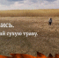 В Поморье усилен контроль за пожарной обстановкой в лесах - Сетевое издание Коноша29