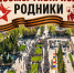Дан старт Всероссийской акции «Бессмертный полк» - Родниковский район