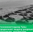 Госкомохотнадзор Тувы выдает разрешения на отстрел бакланов - ИА Тува-Онлайн