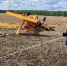 В Омской области скончался бывший сотрудник нижегородского лесхоза - Нижегородская правда