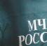 Фото: Dizzy_Studio/Shutterstock/Fotodom - Ямал-Медиа