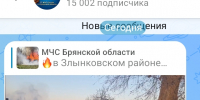 МЧС: огнеборцы под Злынкой смогли устранить возгорание на 2 тысячах квадратных метров - ИА Наш Брянск.ru