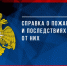 В Псковской области за первые четыре месяца 2026 года произошло 2 088 пожаров - Luki.Ru