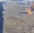 Кировчанин погиб в авиакатастрофе под Омском - Город Киров