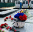 01 - Городская библиотека им. А. Грина