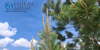 В Бурятии установится тёплая погода - ИА Байкал-Daily