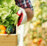 Майская магия Евсеева дня: как привлечь удачу и урожай - Газета Вперёд